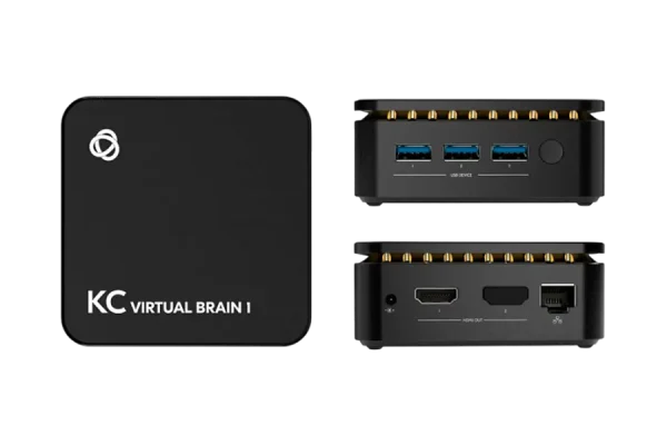 kc-virtualbrain128gen229.png