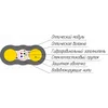 24229afca914.webp