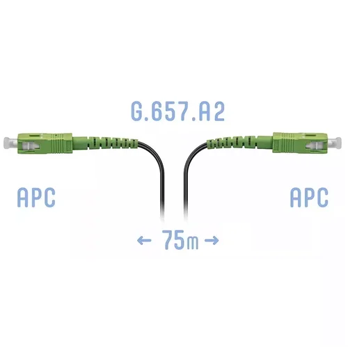 331712bf61e2.webp