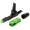 3ce68bad5547.webp