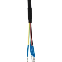 45a12d850cab-2.webp