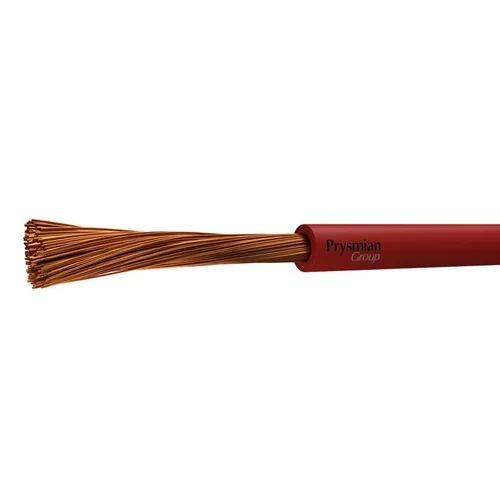 50c2483e8101.webp