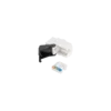 88127aa49d94.webp