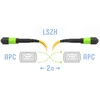 c422ecae822d.webp