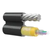 c47c7a22b993.webp