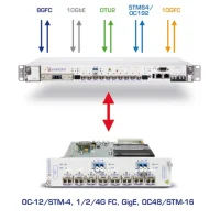 d319cc30399c-2.webp