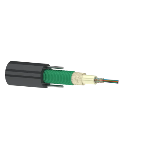 ea5a03529f28.webp