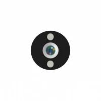 f11c577be364-2.webp